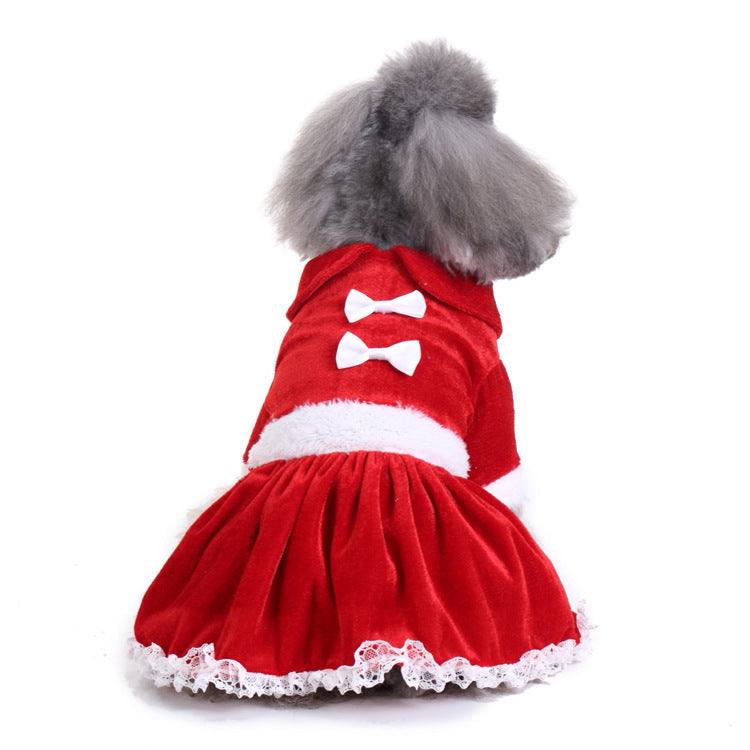 Dog Costumes